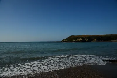 DSC_2676 (Large).JPG